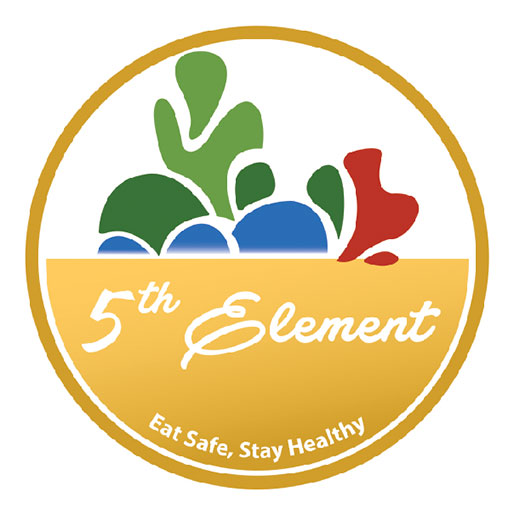 (English) 5th Element: 10% Discount